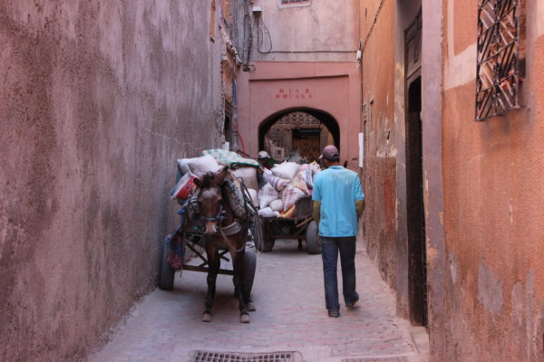 Marrakech - IMG_6213.jpg