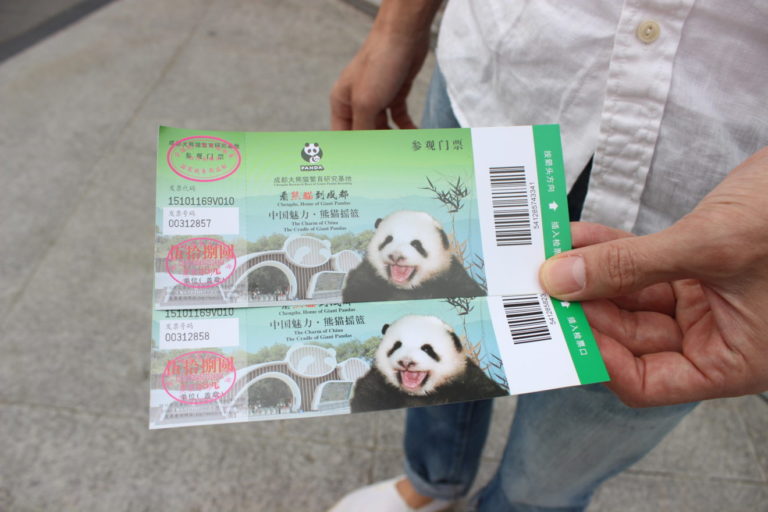 Chengdu-Giant-Panda - IMG_9848.jpg