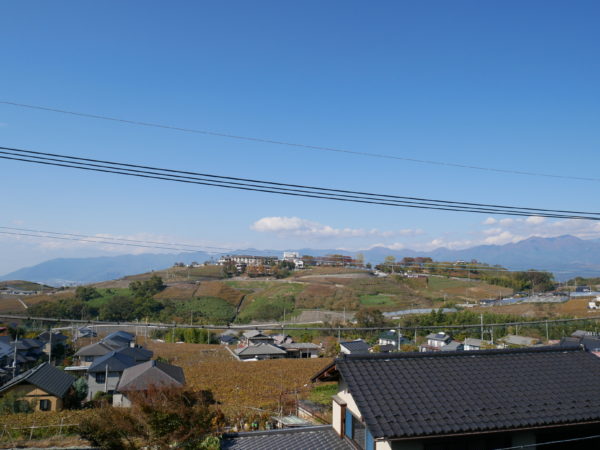 Katsunuma - P1070254.jpg