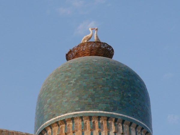 Bukhara - P1140272.jpg
